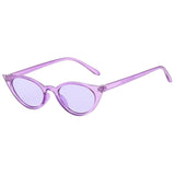Franchise Women Man Vintage Cute Cat Eye Irregular Shape Sunglasses Eyewear Retro Unisex Square Beach sunbathing Sun Glasses